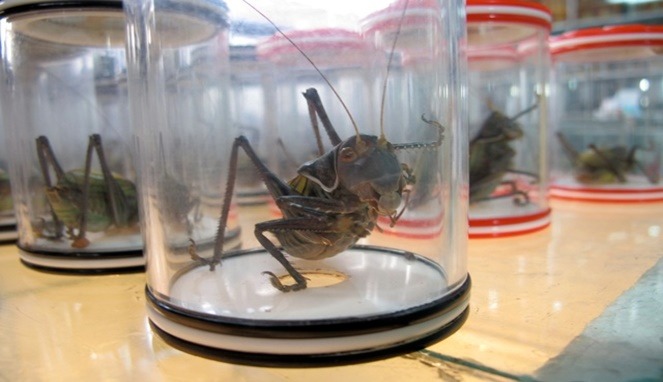 بیلجیم میں سیلاب کی وجہ سے 11 افراد ہلاک، 4 دیگر لاپتہ