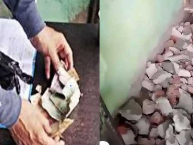 चूहे भी बने चोर, दुकान से हजारों रुपए नकद ले गए