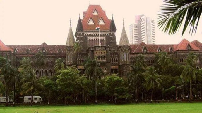 बॉम्बे हाई कोर्ट ने मैंग्रोव मुद्दे पर महाराष्ट्र सरकार को फटकार लगाई