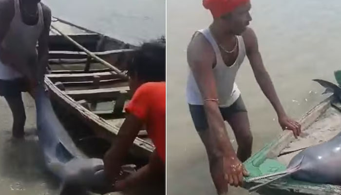 नदी से दुर्लभ डॉल्फ़िन पकड़ने पर मछुआरा गिरफ़्तार